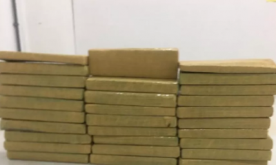 BAEP apreende 30 Kg de maconha em Campinas