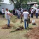 Mão Amiga concluem curso com jardinagem no Samim