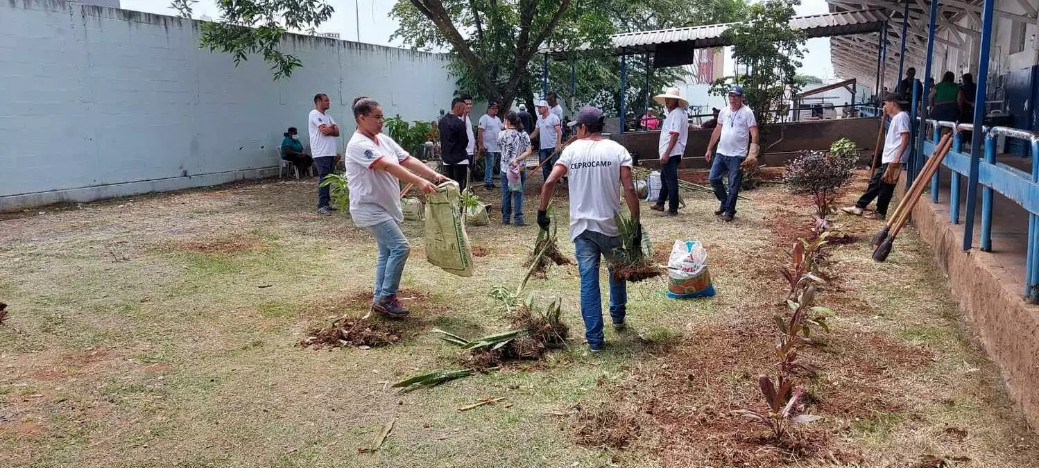 Mão Amiga concluem curso com jardinagem no Samim