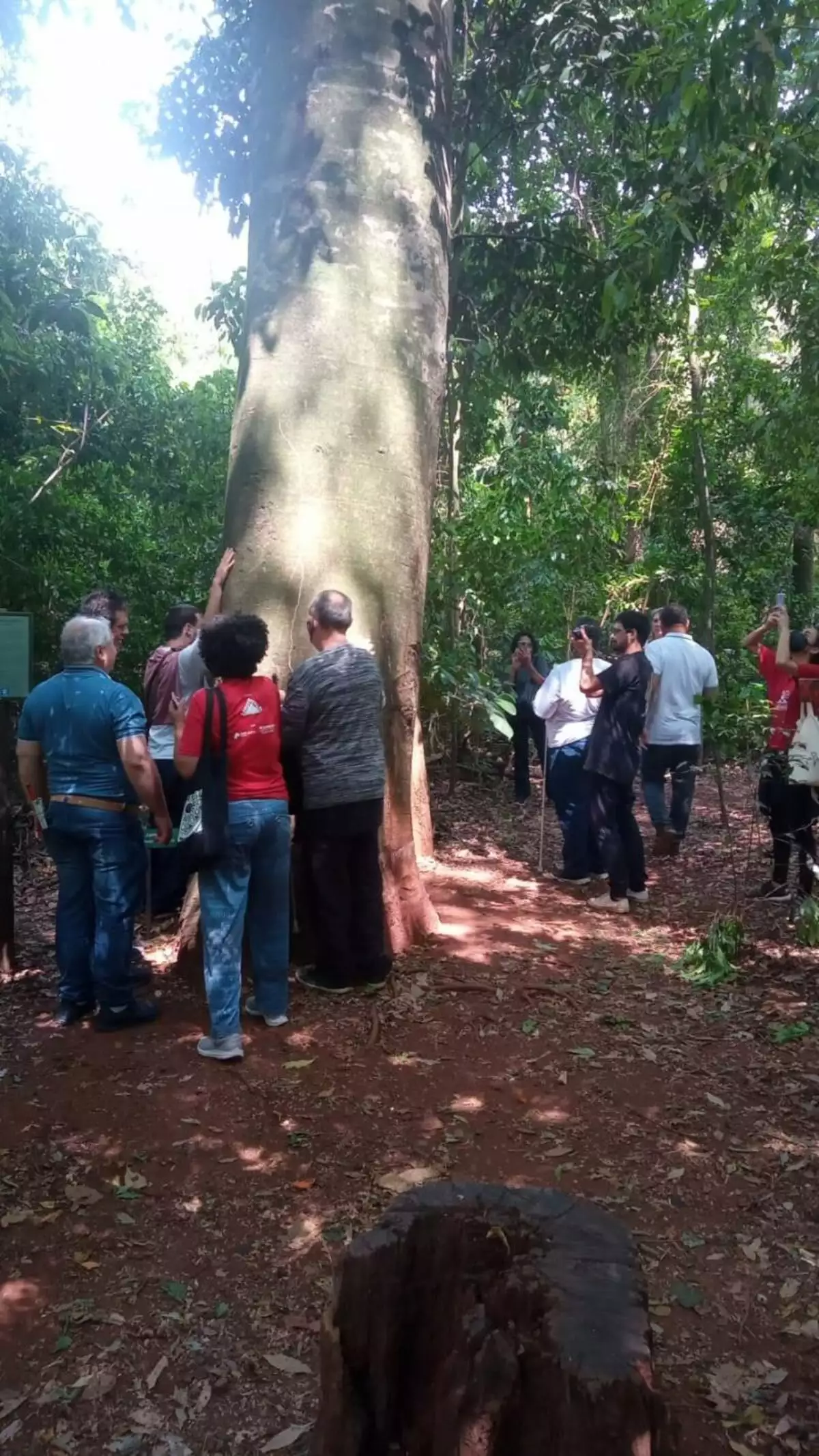 Mata de Santa Genebra faz primeira trilha para deficientes visuais