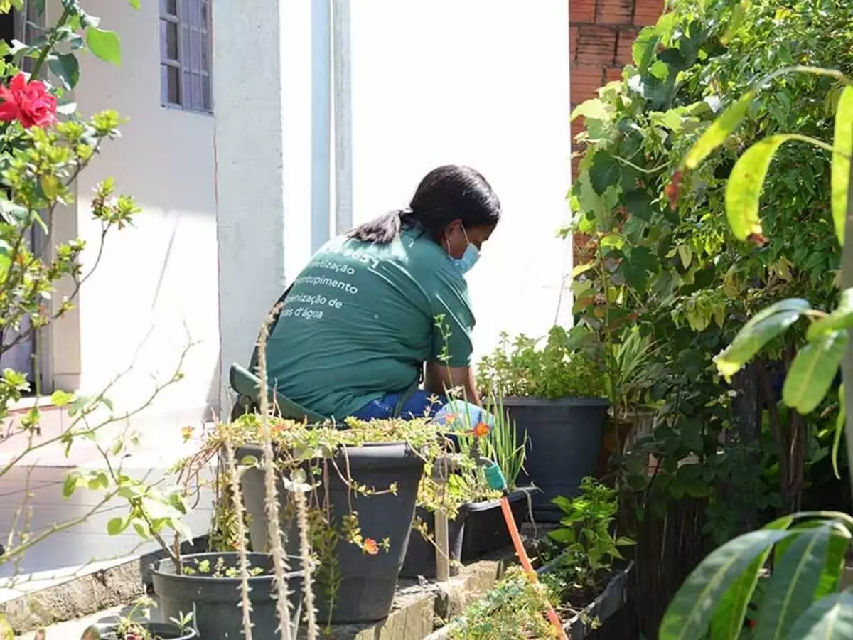 Campinas confirma primeira morte por dengue de 2023